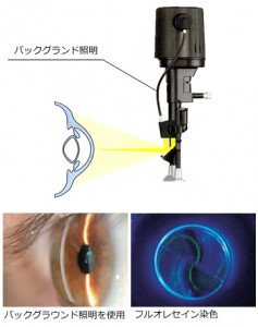 バックグラウンド照明